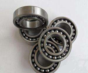 306TN/C3 Bearing China